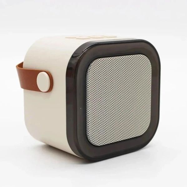 Портативна бездротова Bluetooth-колонка з двома мікрофонами